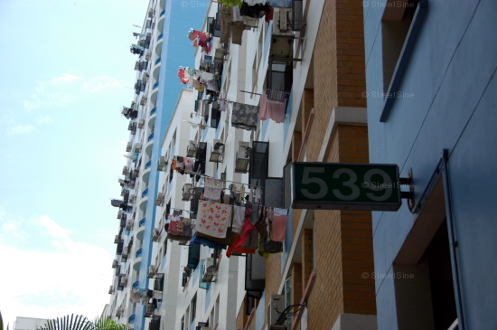 Blk 539 Pangshan Grove (Bukit Panjang), HDB 5 Rooms #215162